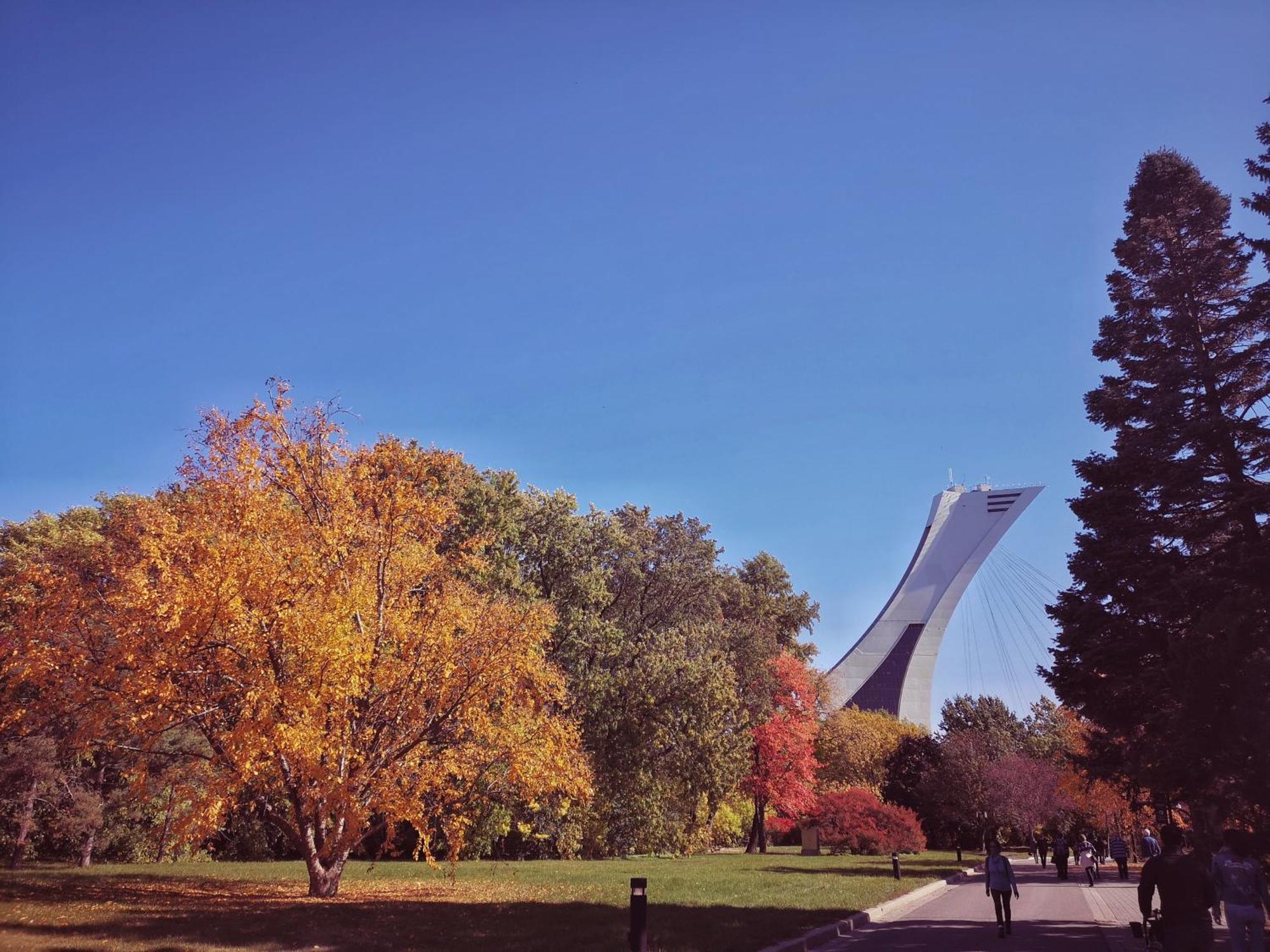 Homa Homestay Hotel By Olympic Stadium Montreal Auberge-Hostel Exterior photo